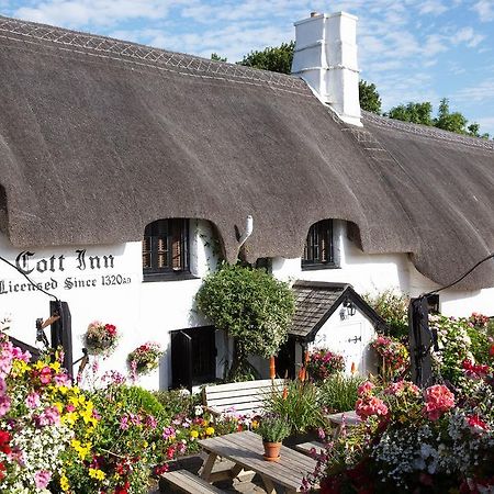 The Cott Inn Totnes Exterior foto